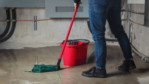 Best Water damage cleanup near me  in Omao, HI
