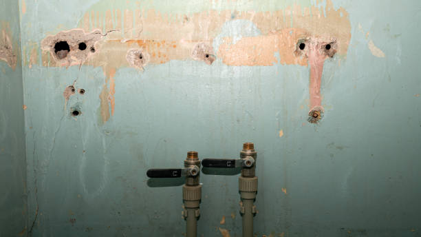 Reliable HI Water damage restoration Solutions